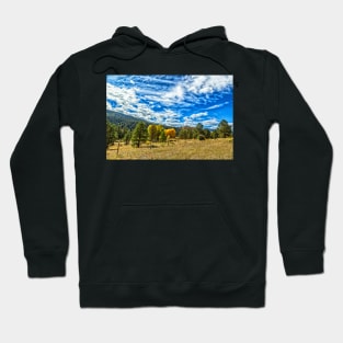 The Enchanted Circle Hoodie